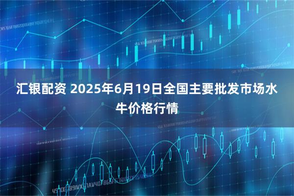 汇银配资 2025年6月19日全国主要批发市场水牛价格行情