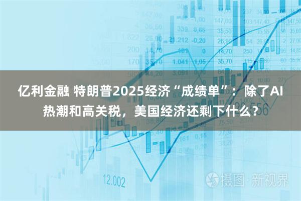 亿利金融 特朗普2025经济“成绩单”：除了AI热潮和高关税，美国经济还剩下什么？