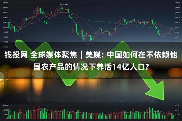钱投网 全球媒体聚焦︱美媒: 中国如何在不依赖他国农产品的情况下养活14亿人口?